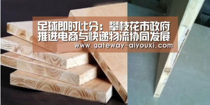 足球即时比分：攀枝花市政府推进电商与快递物流协同发展